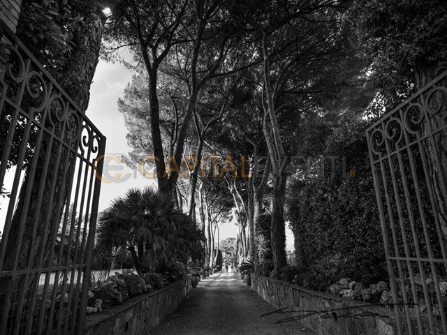 Villa Dino - foto 4