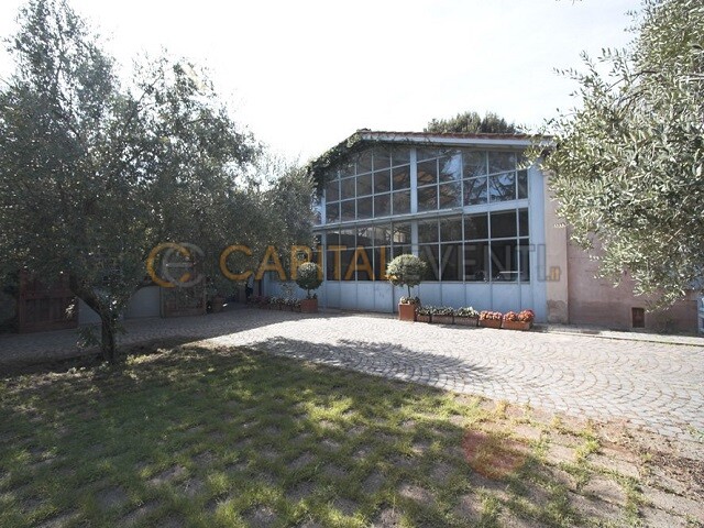 Studio Daylight - foto 6