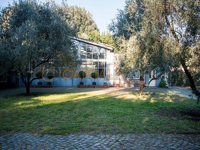 Studio Daylight - foto 7