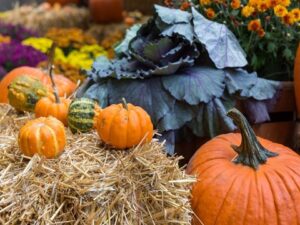 Il significato di Halloween e le sue origini